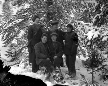 Skogen i Becken by 1920